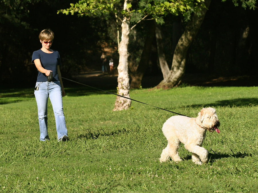 Woman walking with her dog in the park